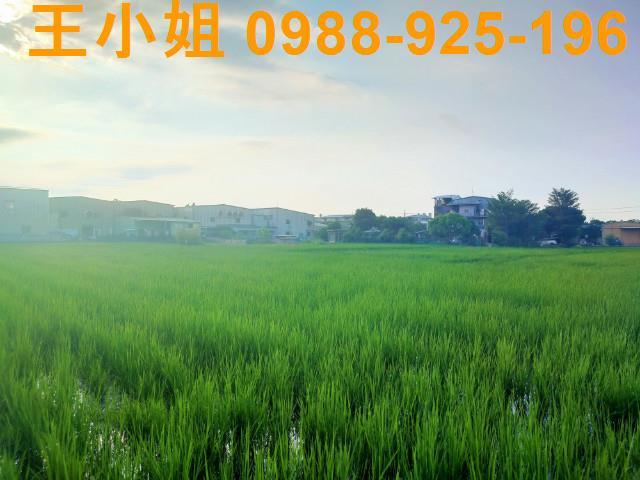 桃園八德農舍-4