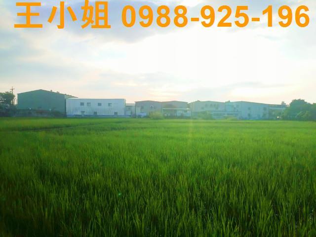 桃園八德農舍-7