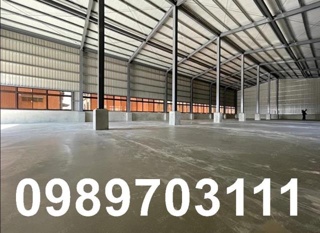 桃園中壢廠房-3