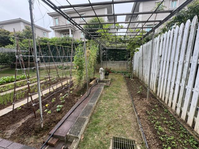 桃園楊梅透天-13