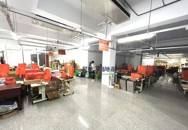 桃園大園廠房-2