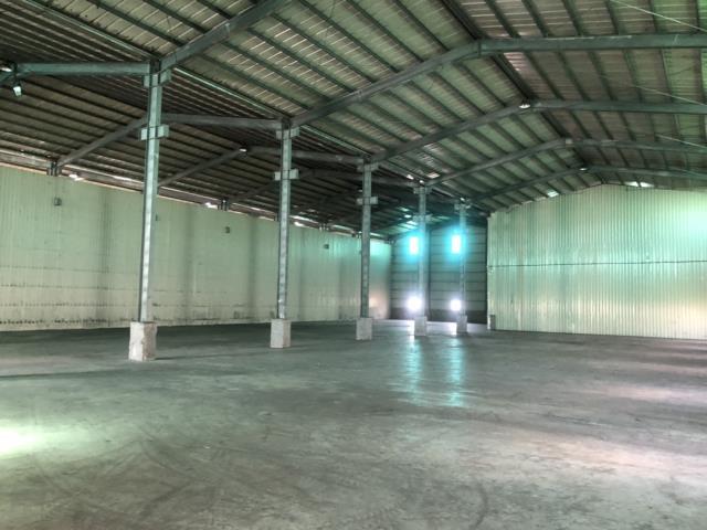 桃園大園廠房-1