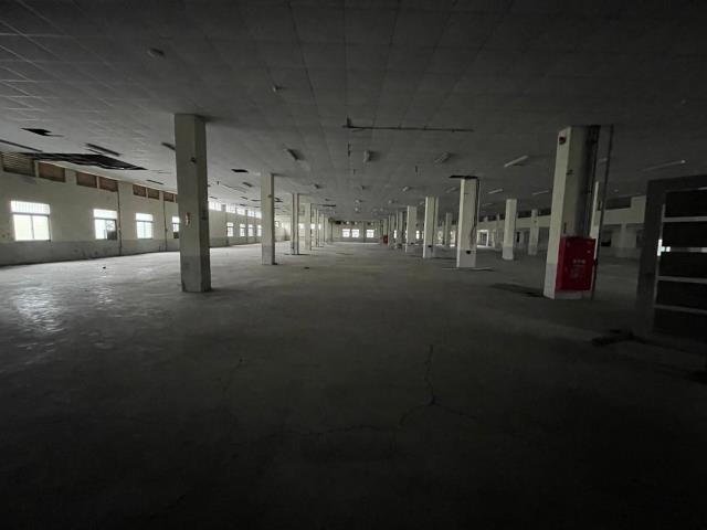 桃園廠房-2