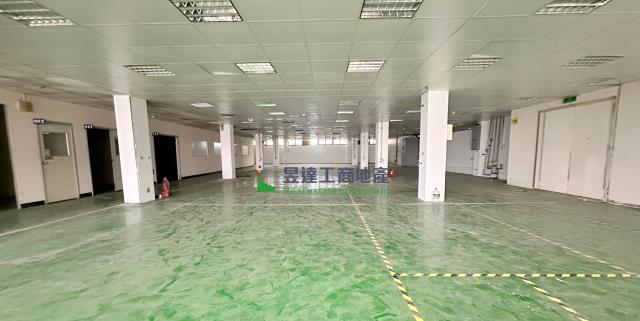 桃園中壢廠房-4