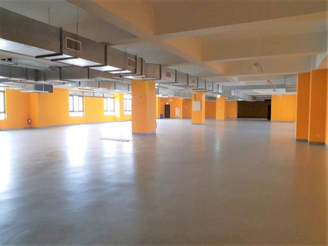 桃園中壢廠房-1