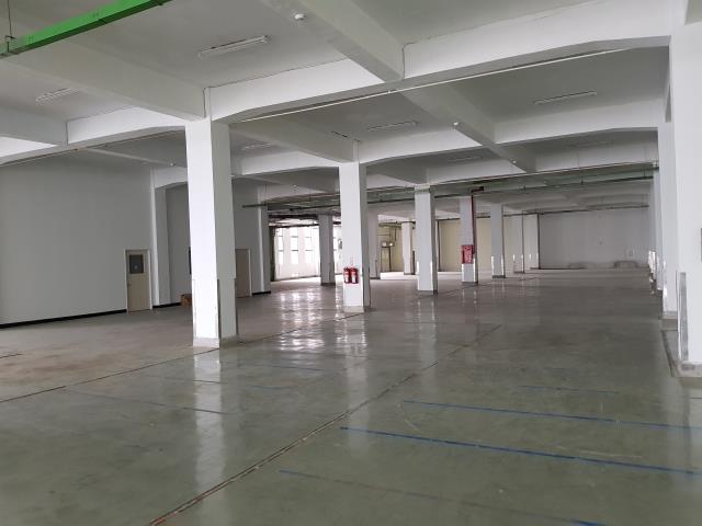 桃園中壢廠房-0