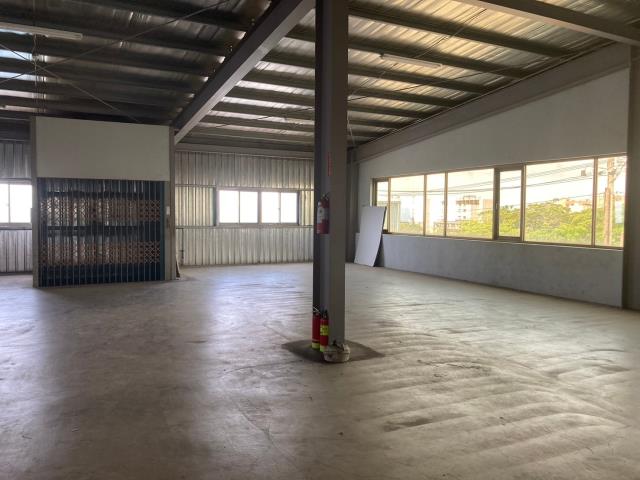 桃園中壢廠房-4