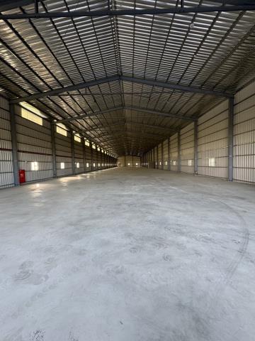 桃園大園廠房-0