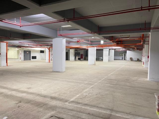 桃園中壢廠房-5