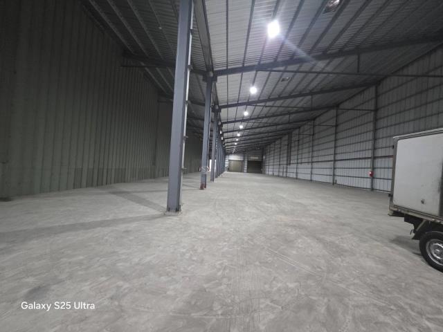 桃園大園廠房-1