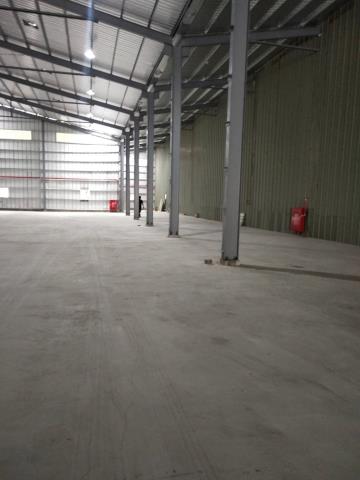 桃園大園廠房-5