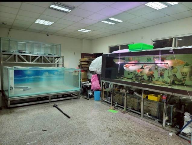 桃園中壢華廈-1