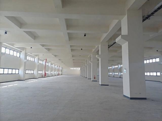 桃園觀音廠房-0