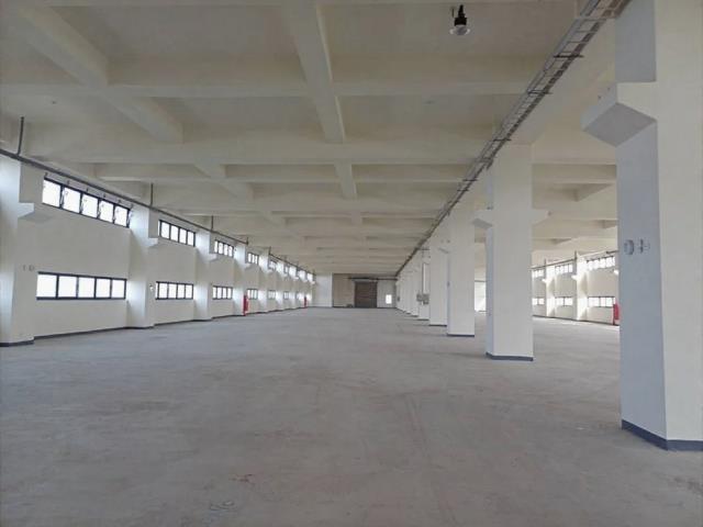 桃園觀音廠房-2