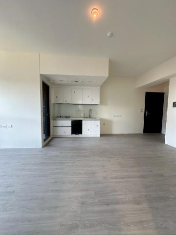 桃園大園華廈-8