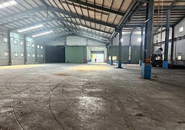 桃園大園廠房-0