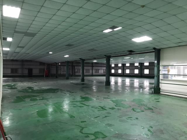 桃園龜山廠房-0