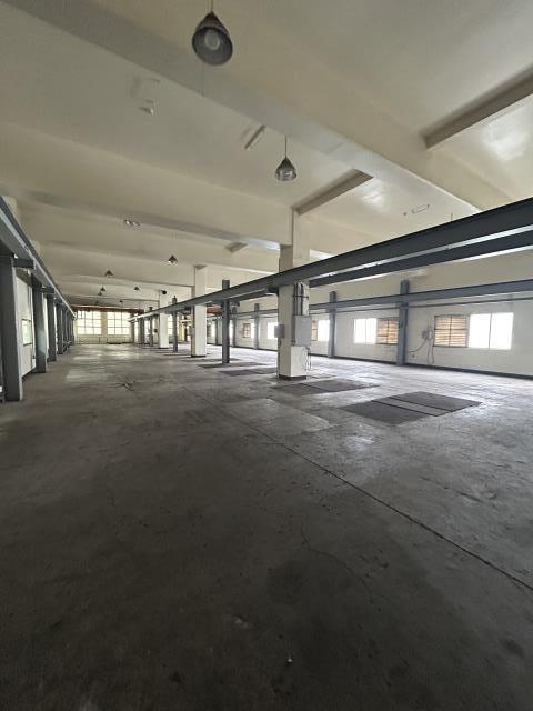 桃園龍潭廠房-4