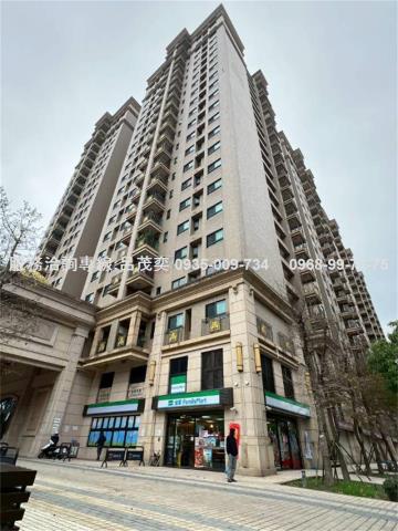 桃園龜山大樓-12