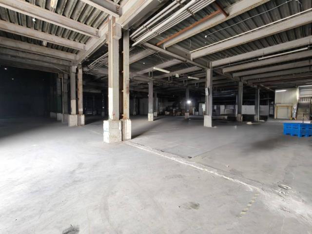 桃園中壢廠房-2