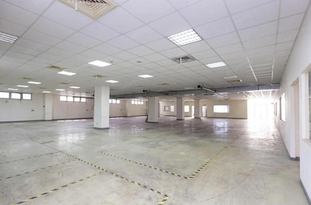 桃園平鎮廠房-2