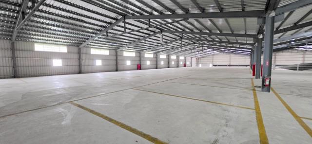 桃園大園廠房-5