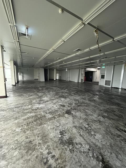 桃園龍潭廠房-4