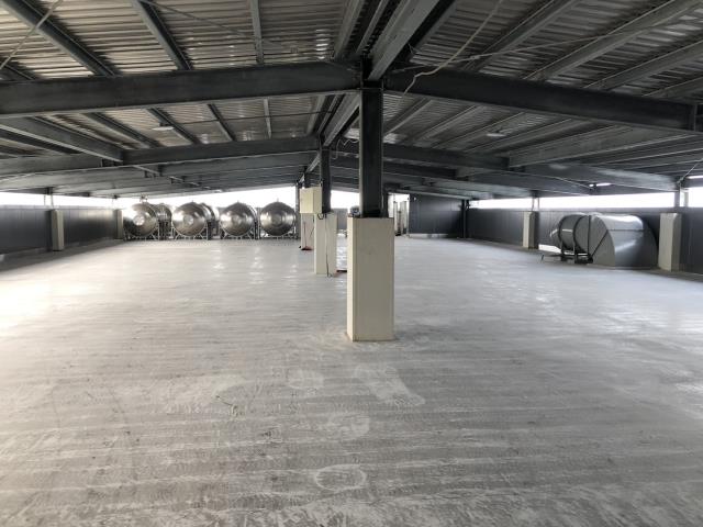 桃園桃園區廠房-2