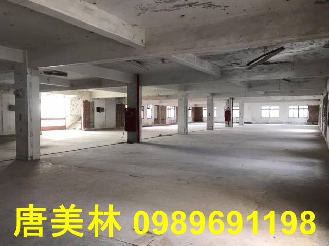 桃園平鎮廠房-1