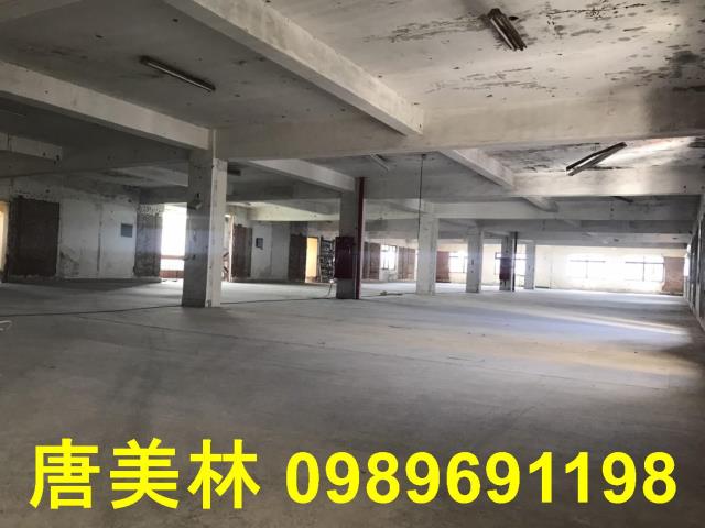 桃園平鎮廠房-2