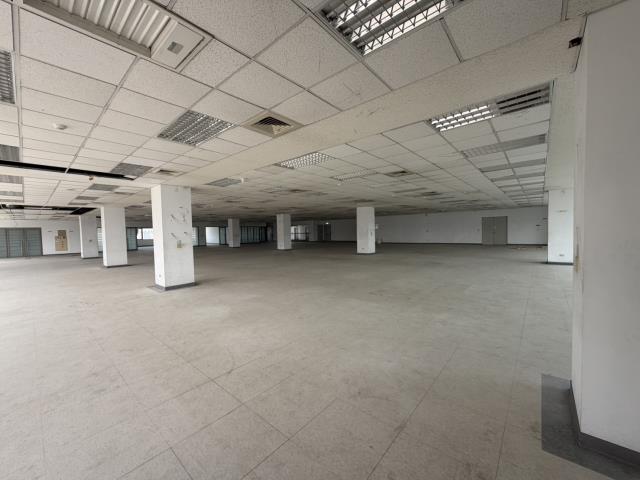 桃園中壢廠房-0