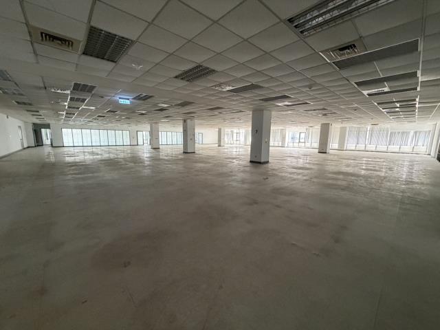 桃園中壢廠房-2