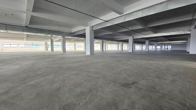 桃園新屋廠房-1