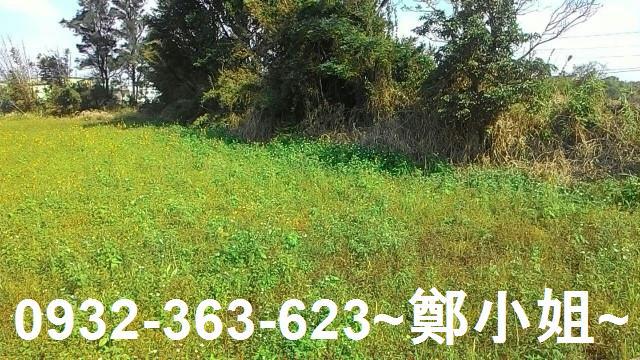 桃園新屋農地-3