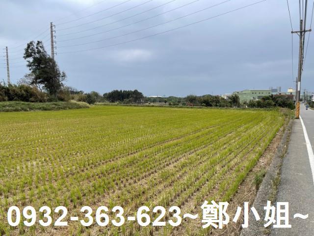 桃園新屋農地-10