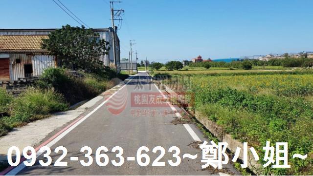 桃園觀音農地-2