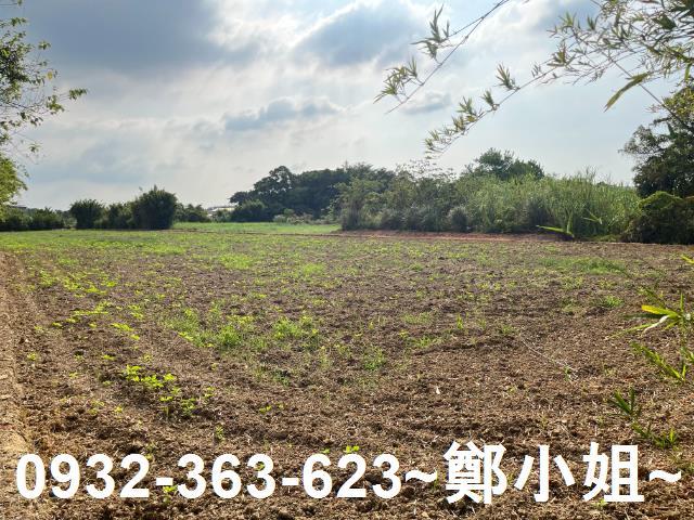 桃園新屋農地-3