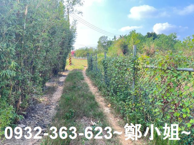 桃園新屋農地-4