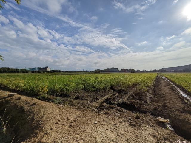 新屋農地-0