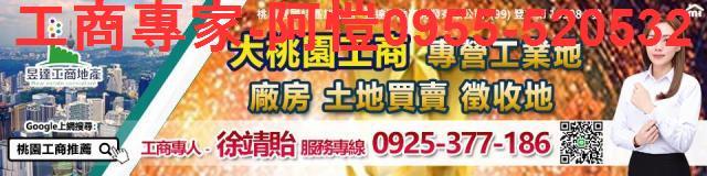 桃園建地-3