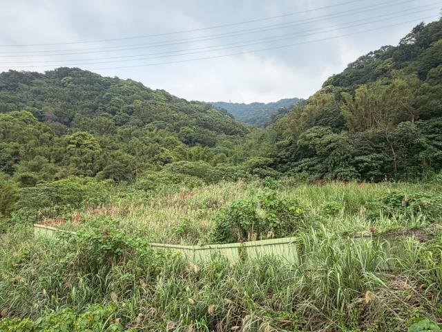 桃園龜山建地-2