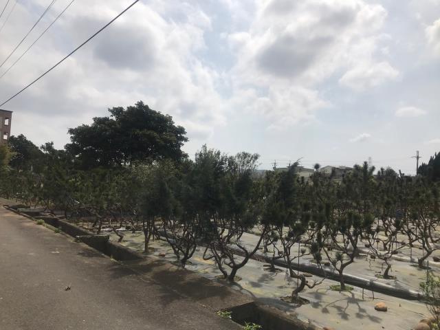 桃園農地-1