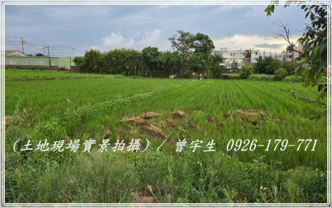 桃園觀音農地-7