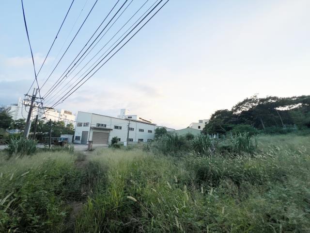 楊梅工業地-5