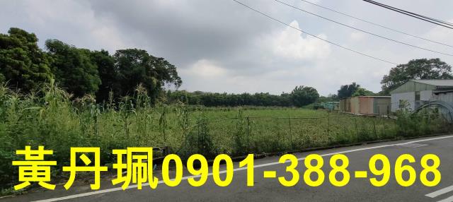 桃園八德農地-2