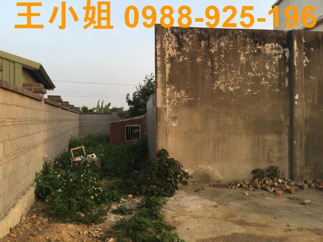 桃園農地-1