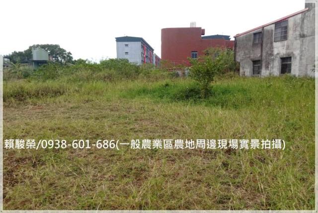 桃園龍潭中興路一般農