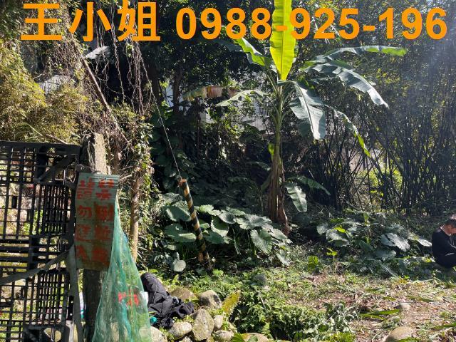 桃園大溪農地-3