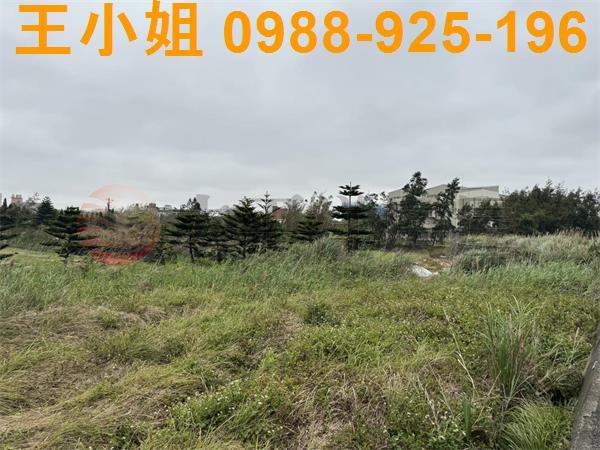 大園農地-11