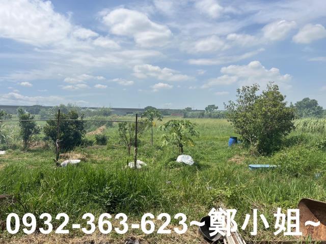 蘆竹農地-5